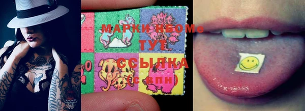 PSILOCYBIN Вязьма