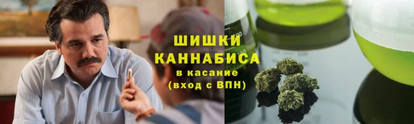 PSILOCYBIN Вязьма