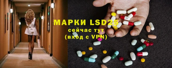 PSILOCYBIN Вязьма