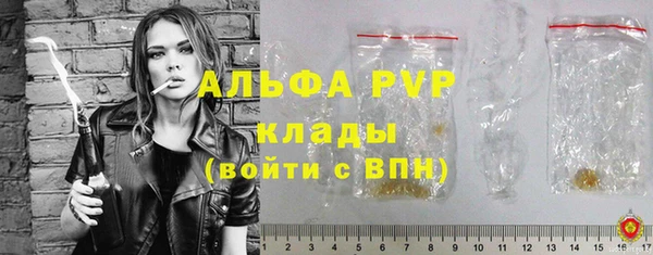 молекула духа Снежногорск