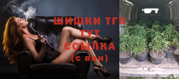 2c-b Горняк