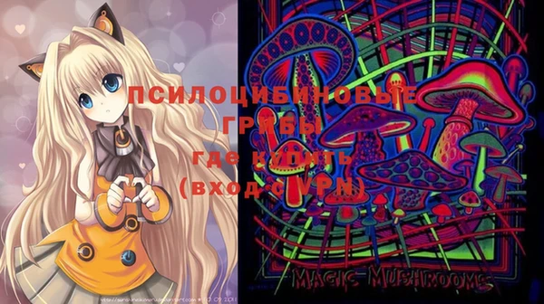 молекула духа Снежногорск