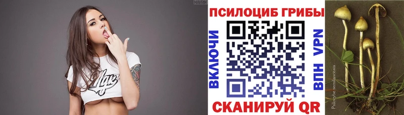 Псилоцибиновые грибы GOLDEN TEACHER Дигора